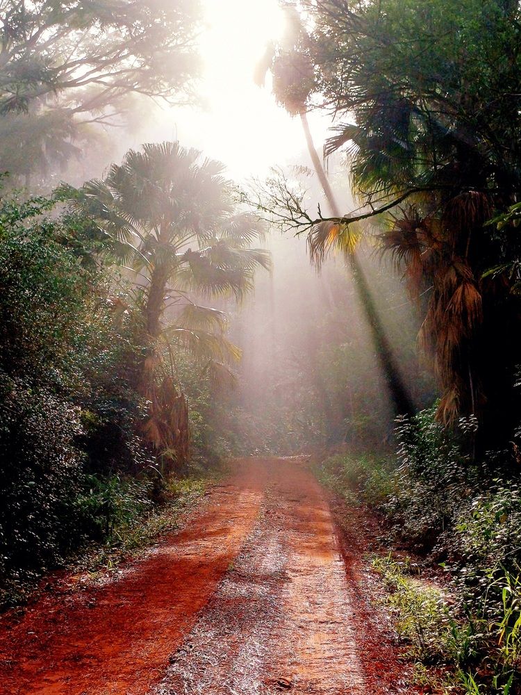 Photograph by Ricardo Kimmich