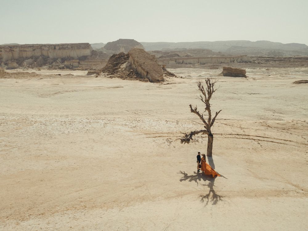 Photograph by mohammadamin Sahraei