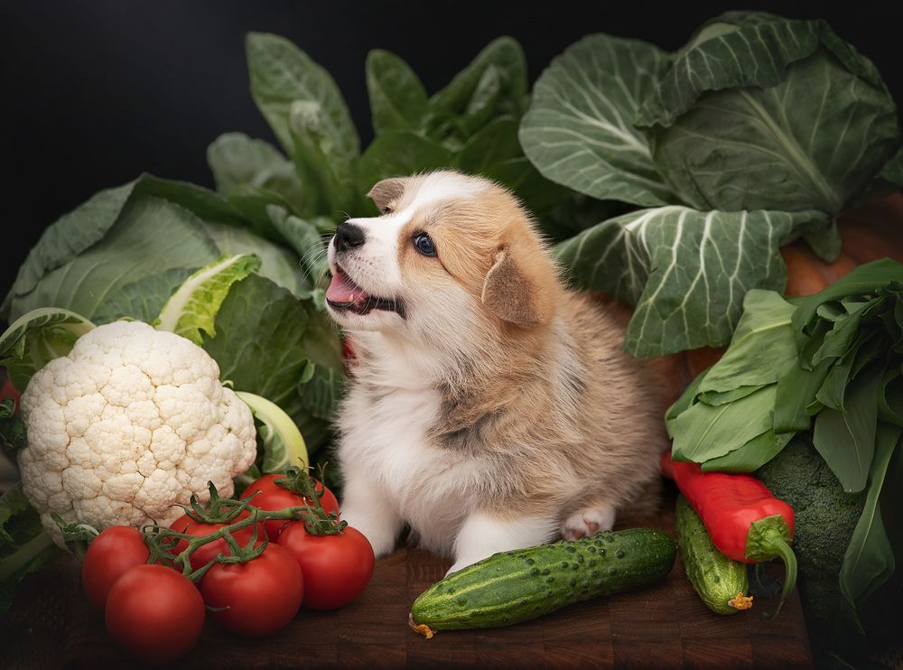 Photograph by Юлия Григорьева