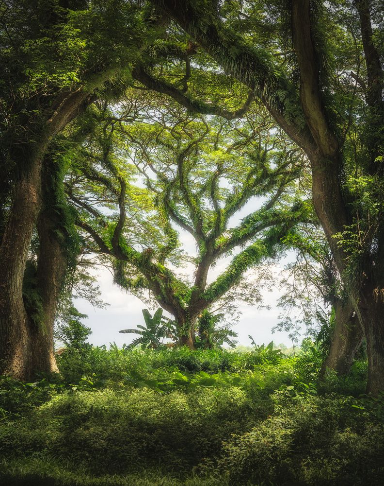 Photograph by 李 允旭