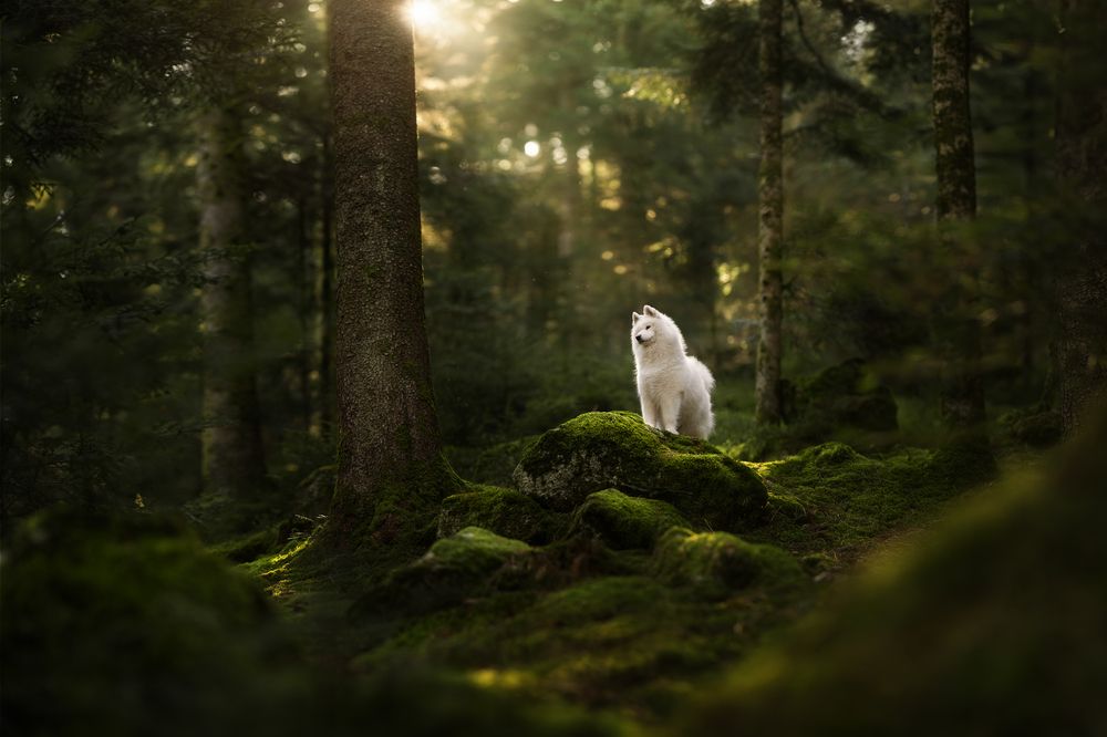 Photograph by Fleur Scholte