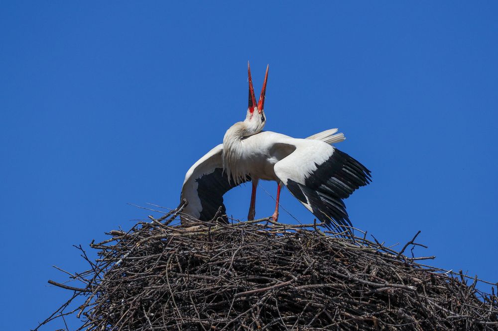 Photograph by Сергей Игнатьев