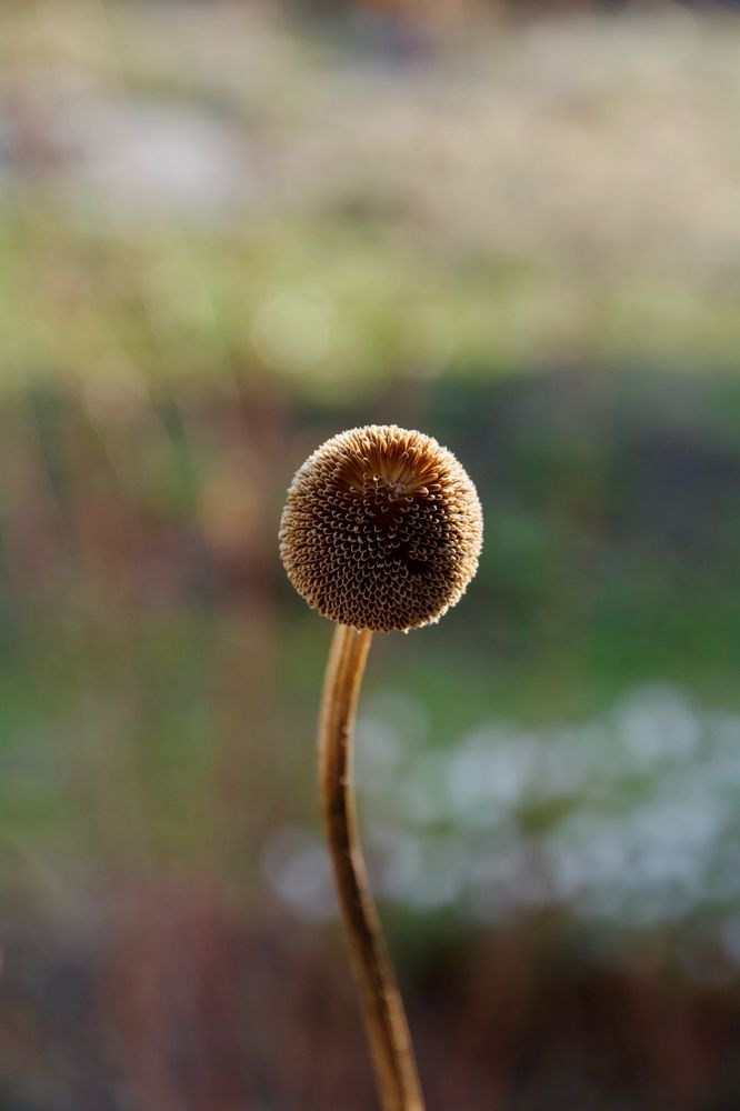 Точка покоя