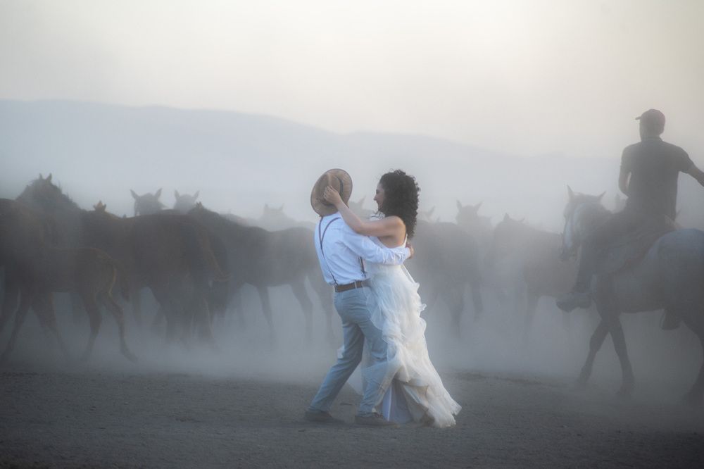 Photograph by DAMOUN POURNEMATI