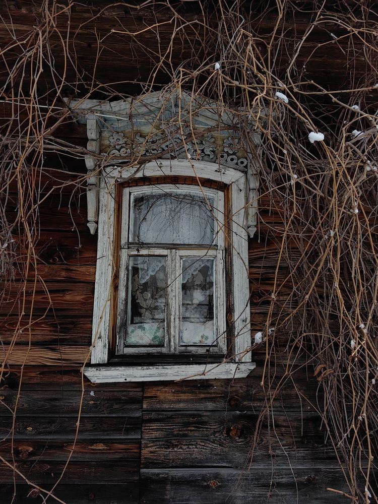Photograph by Ольга Карева