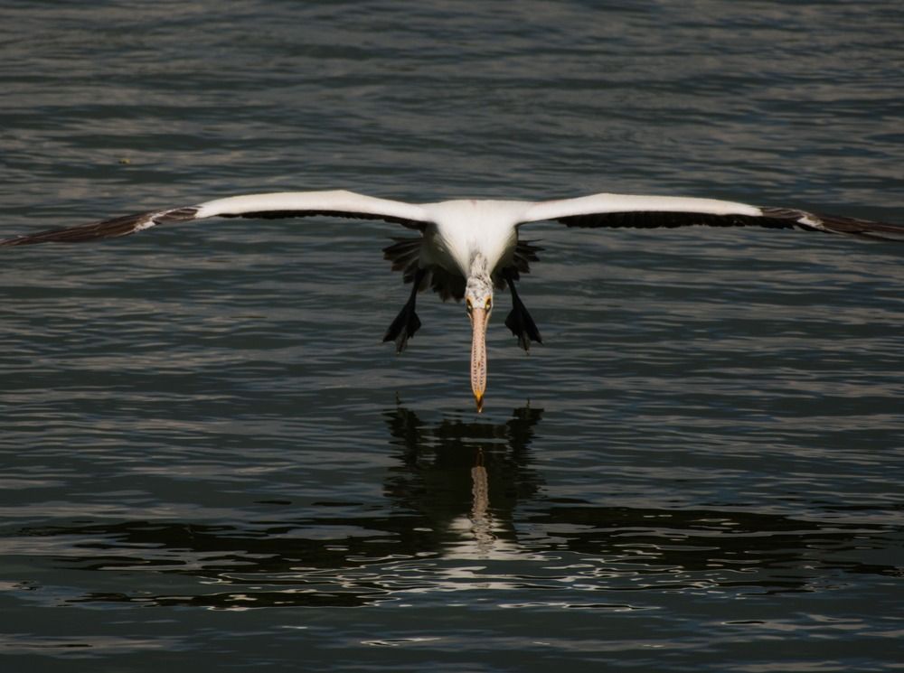 Photograph by yashas nanda