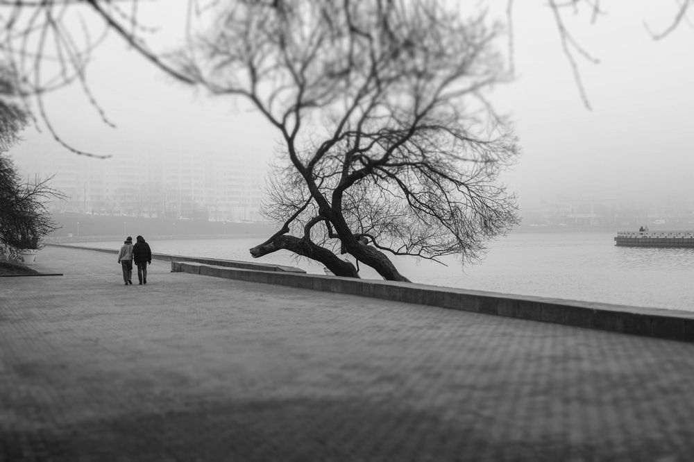 Три пары туманным днем