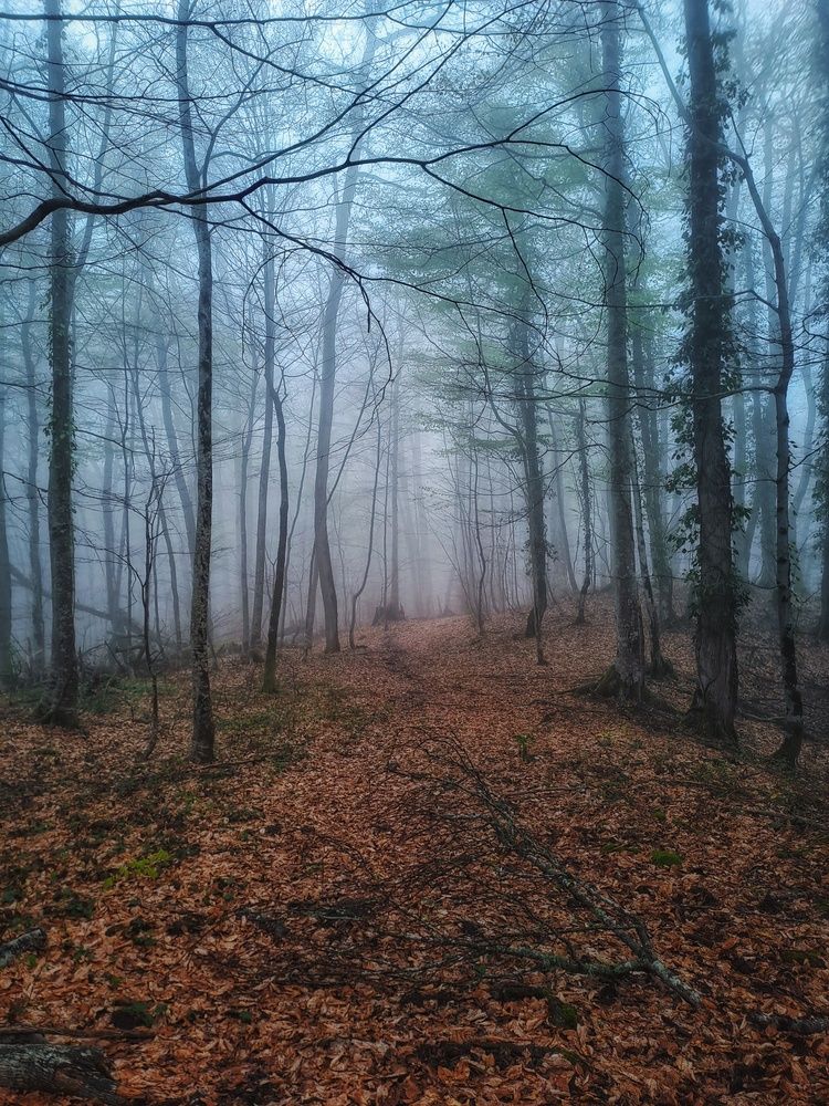 Photograph by Владимир Караман