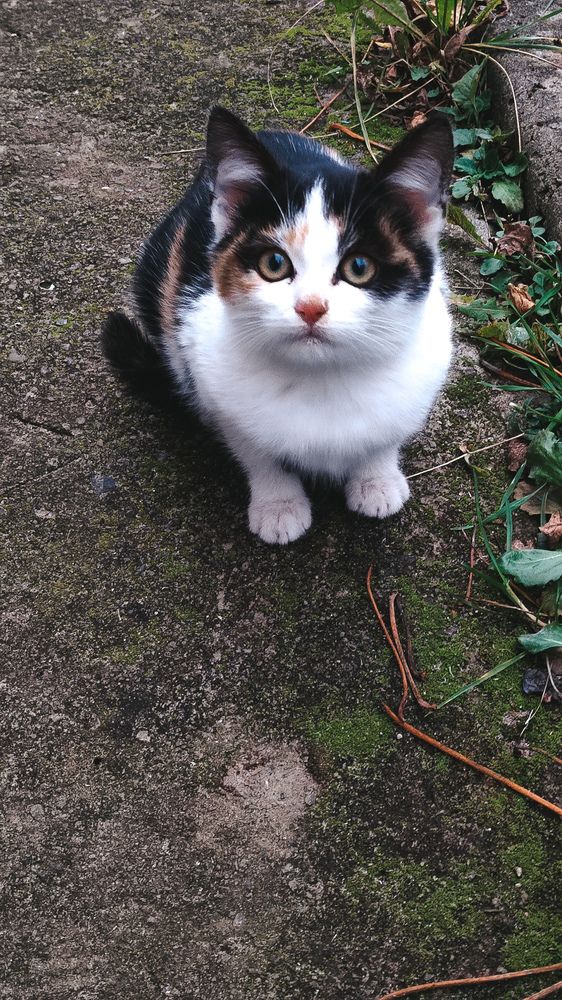 Photograph by Глушакова Татьяна Николаевна