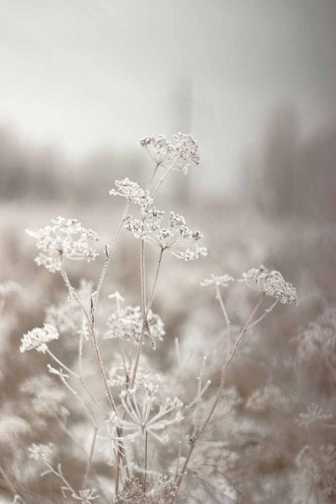 Фотография автора Александр Николаев