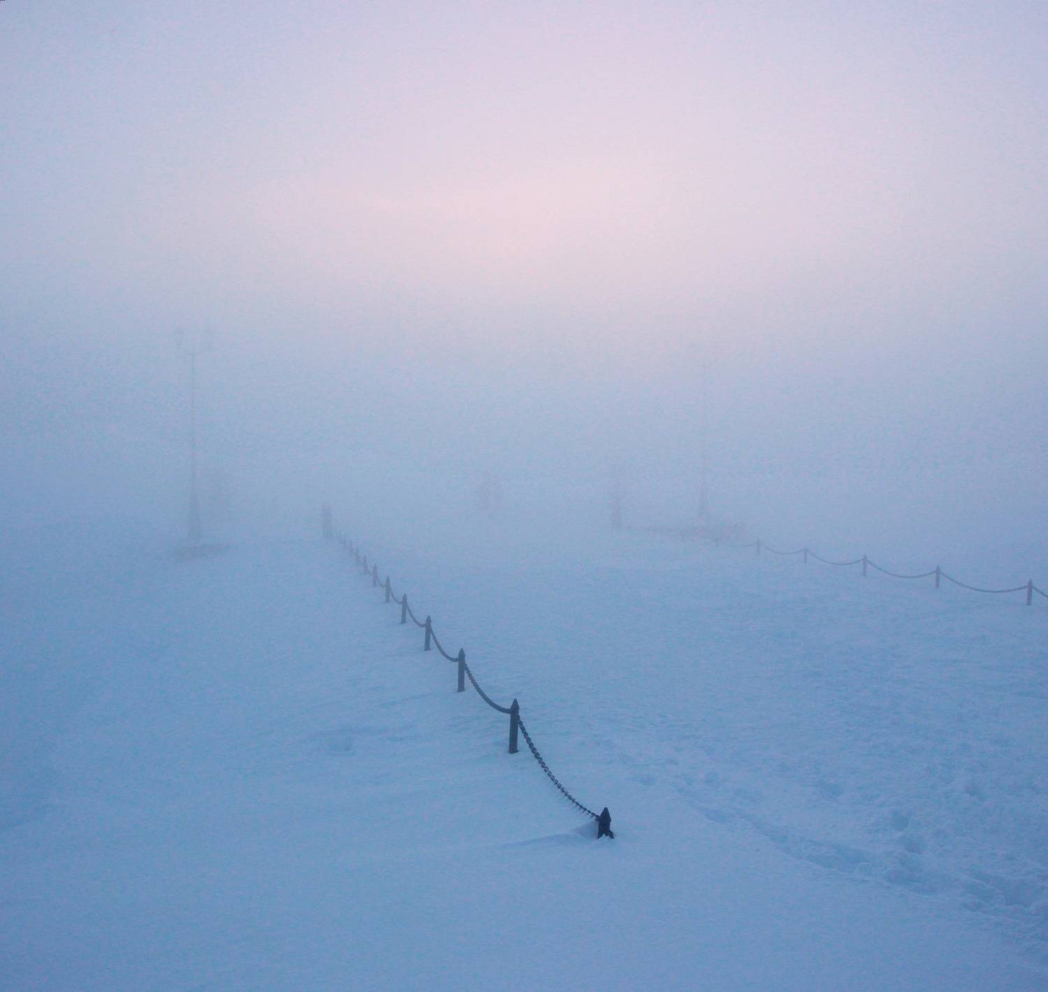 Photo #12135580