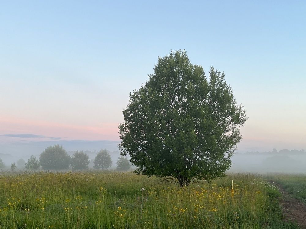 Photograph by Болдырева Ольга