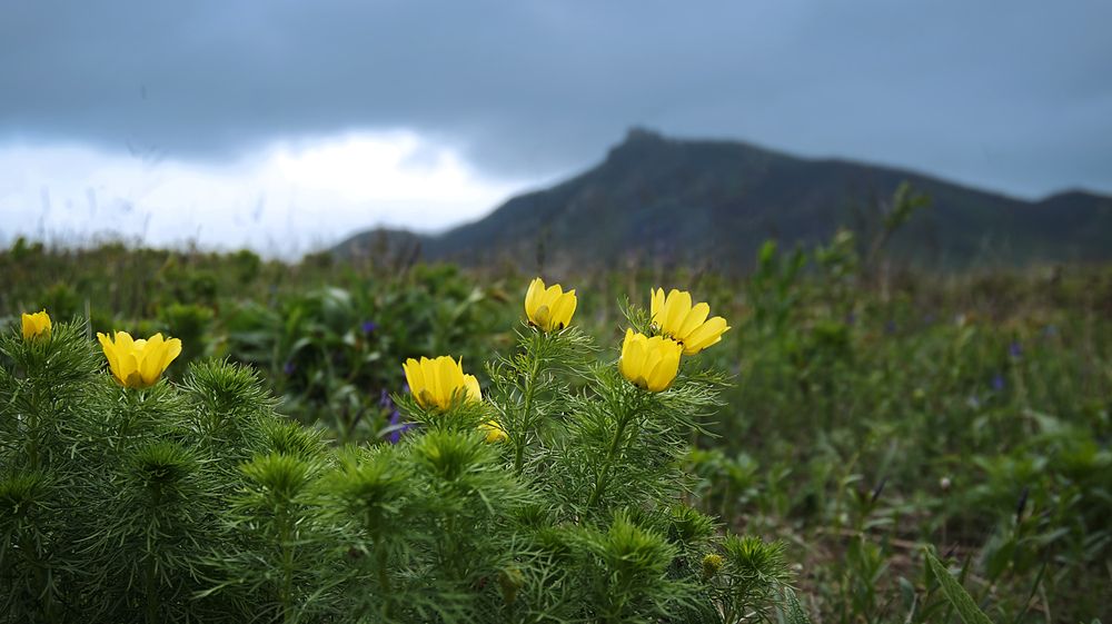 Photograph by Вадим Карпов
