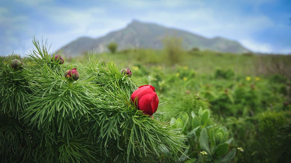 Photograph by Вадим Карпов