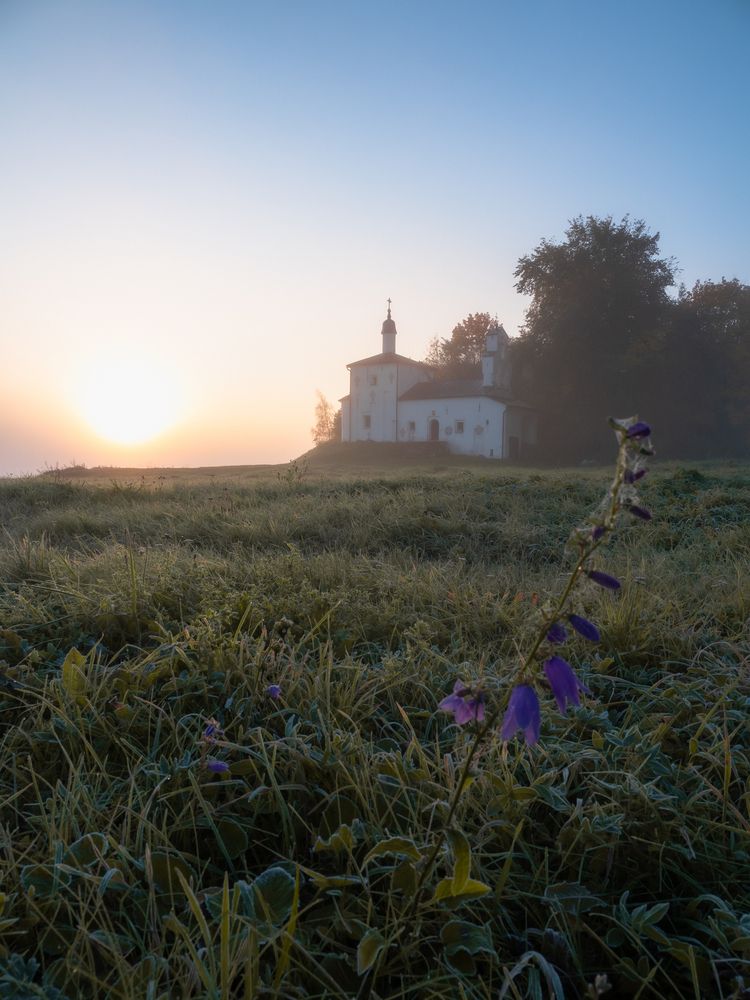 Photograph by Шейко Анна
