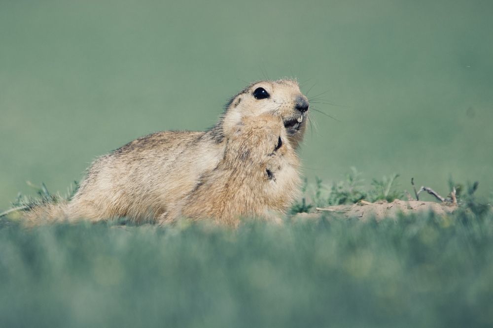 Photograph by Виктор Владимиров
