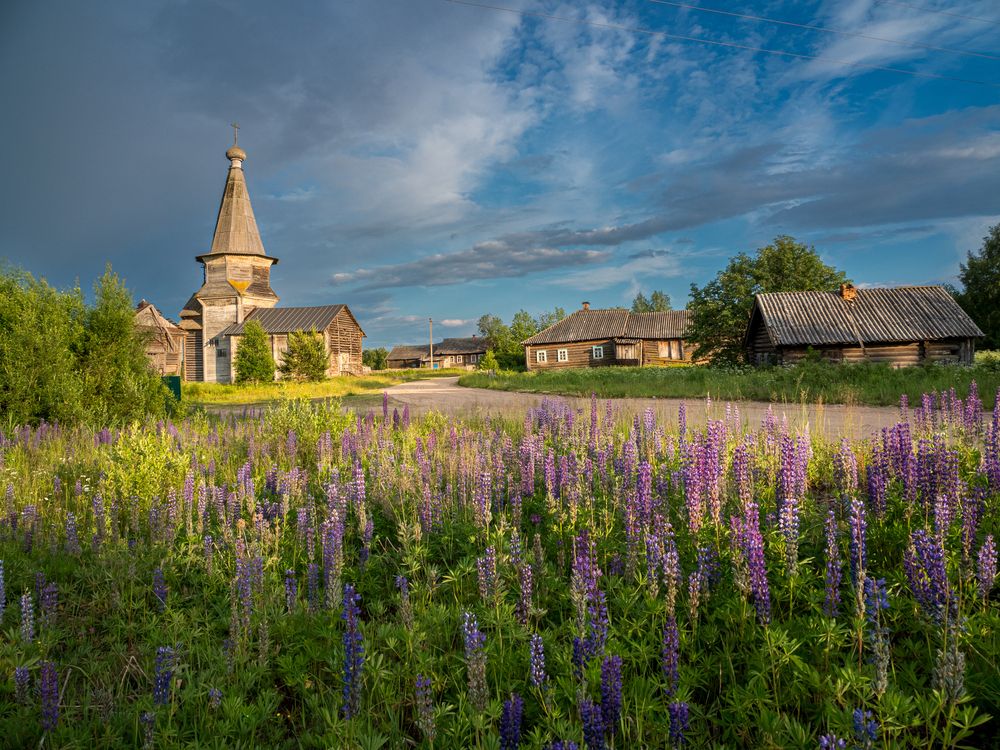 Photo #12135779
