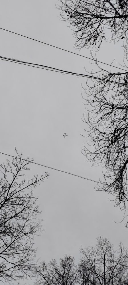 Photograph by Марина Савенко