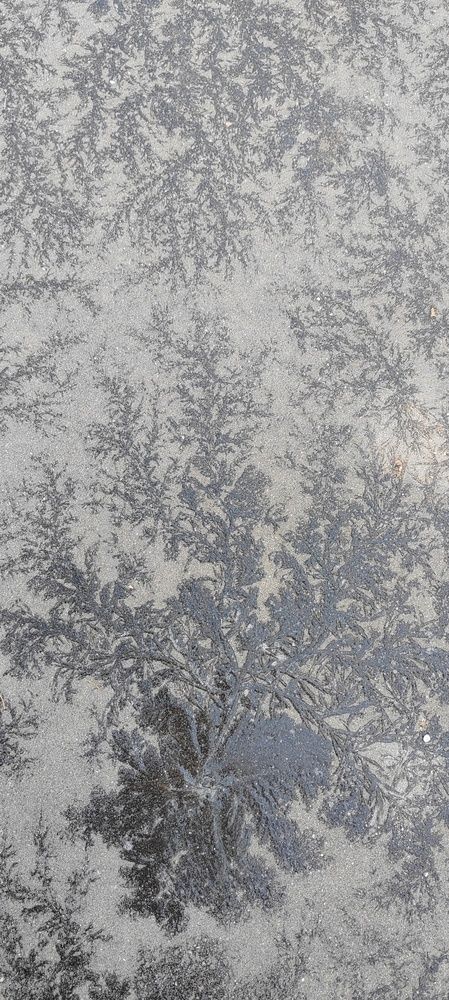 Photograph by Marina Savenko