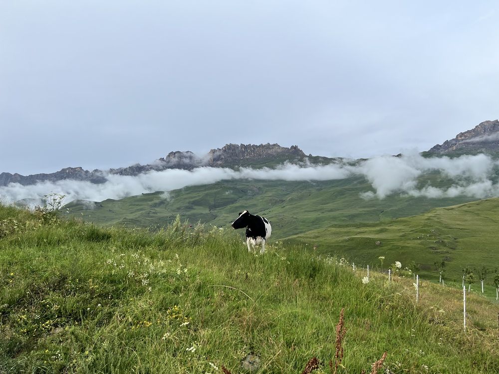 Photograph by Шестакова Елена