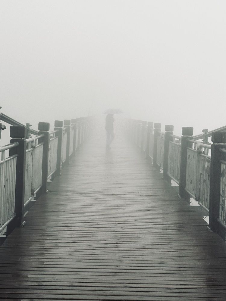 Photograph by Светлана Ионова