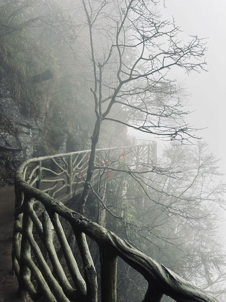 Photograph by Светлана Ионова