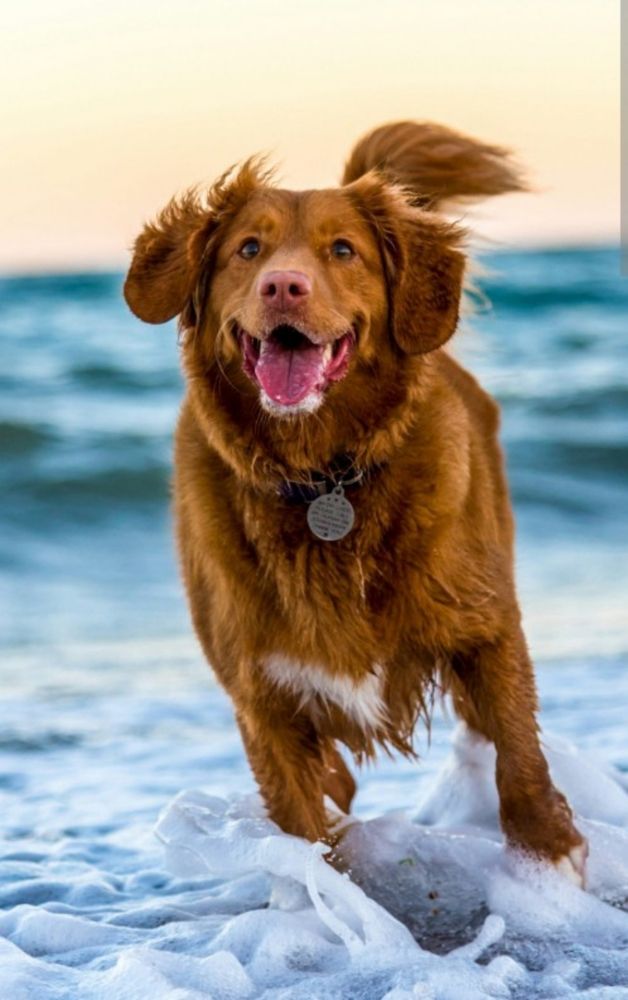 Photograph by B.Ramasubbaiah