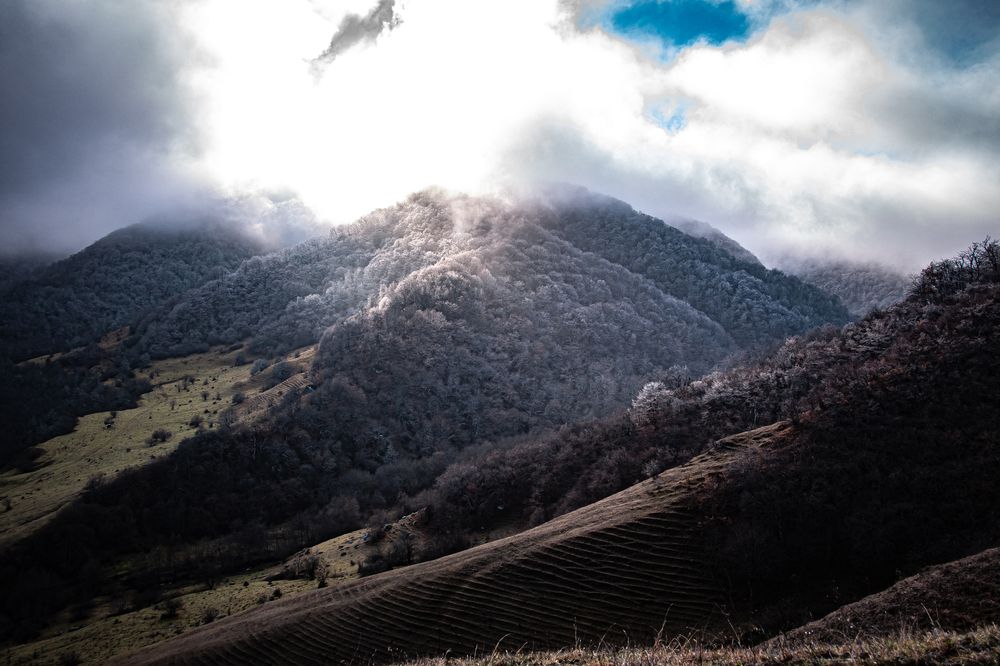 Photograph by Maria Chistova (Pasternak)