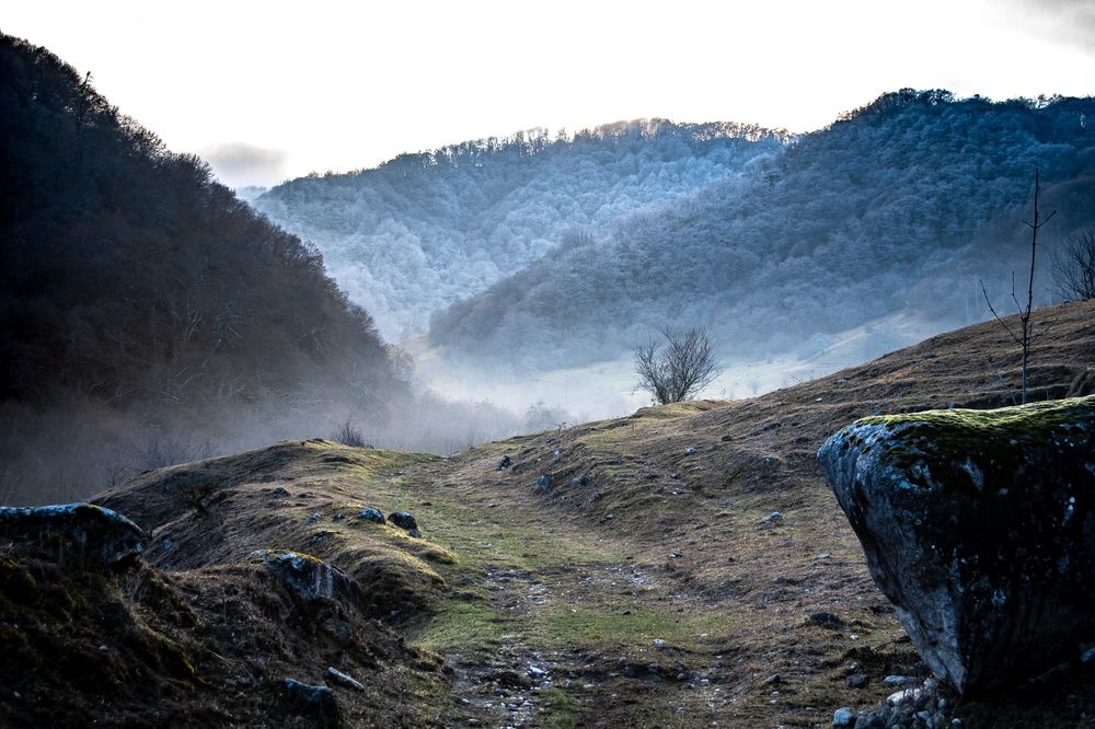 Photograph by Maria Chistova (Pasternak)