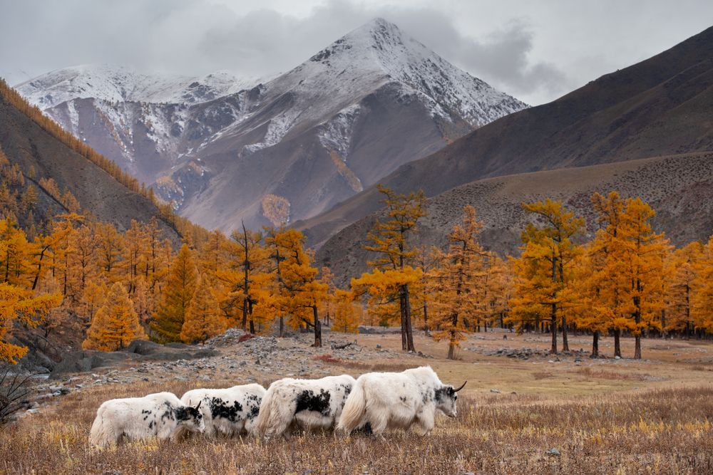 Photograph by Нерозя Александр