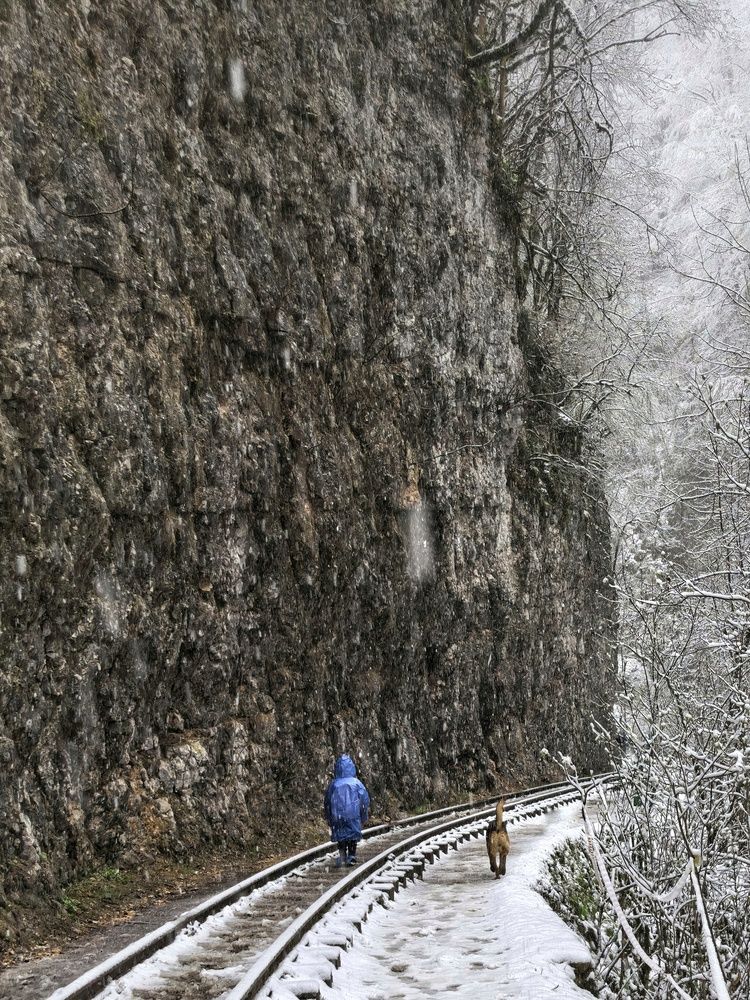 Photograph by Ольга Бутвина