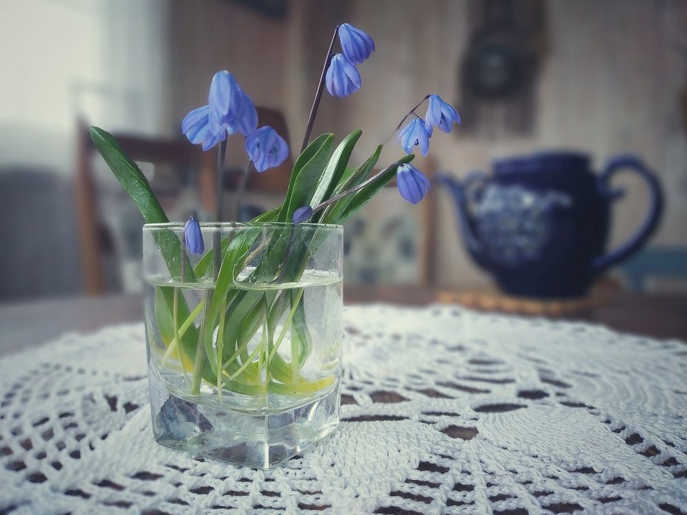 Photograph by Ольга Мартьянова