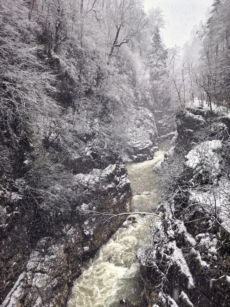Photograph by Ольга Бутвина