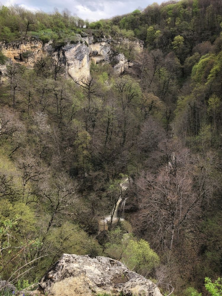 Photograph by Ольга Бутвина