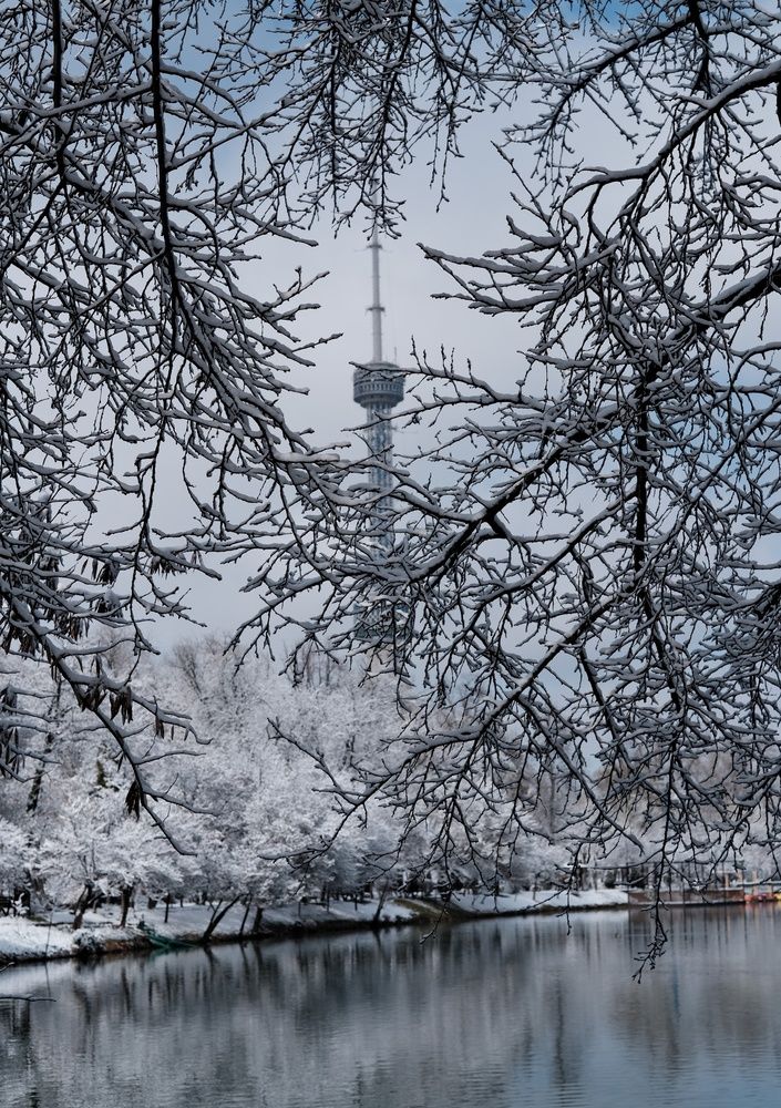 Photograph by Сергей Кошин