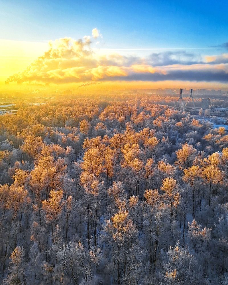 Photograph by Дарья Макаревич