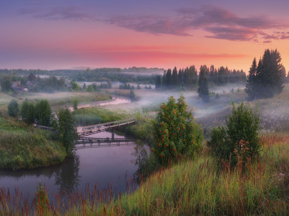 Фотография автора Медянцев Дмитрий