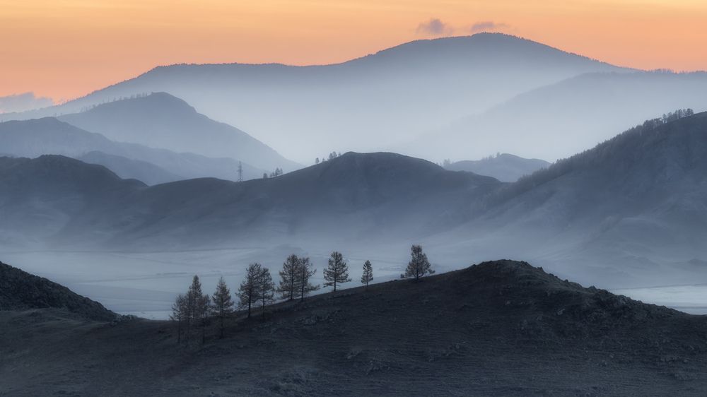 Фотография автора Медянцев Дмитрий