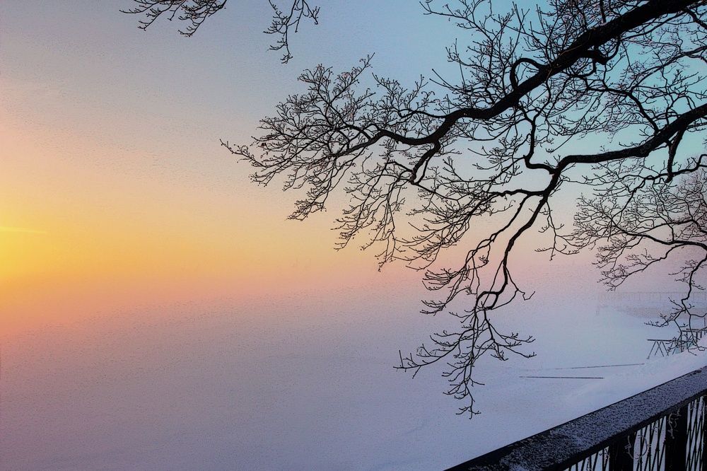 Photograph by Сергей Григорьев