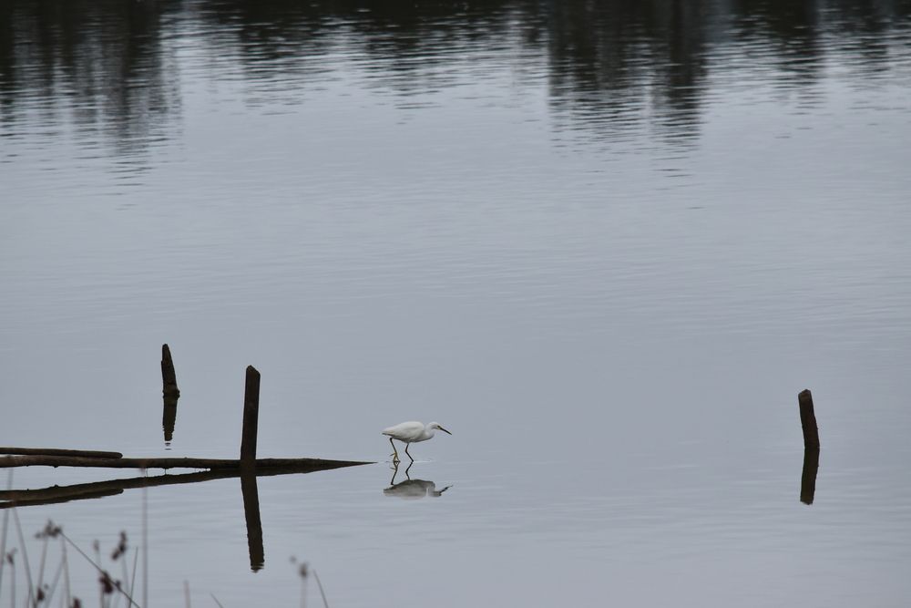 Фотография автора Carolina Mellado