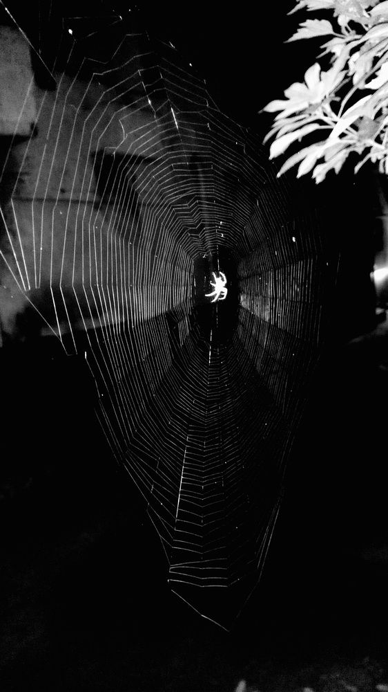 Photograph by VAIBHAV PAREKH