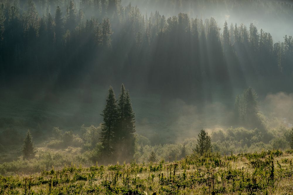 Photograph by Александр Нерозя