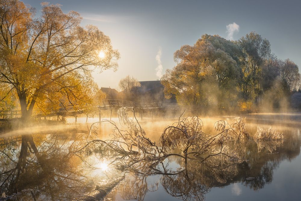 Фотография автора Медянцев Дмитрий