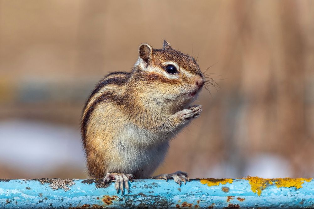 Photograph by Анатолий Чесноков
