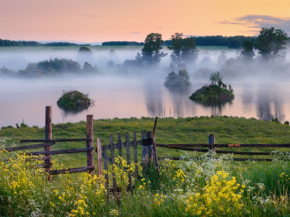 Фотография автора Медянцев Дмитрий