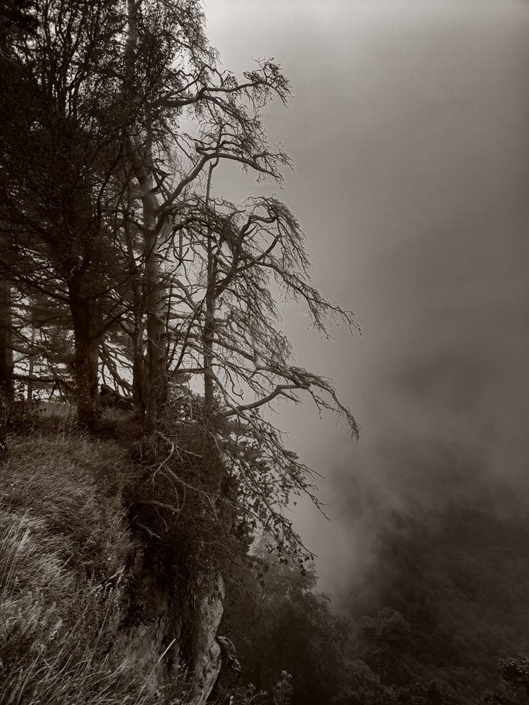 Photograph by Ольга Стоун