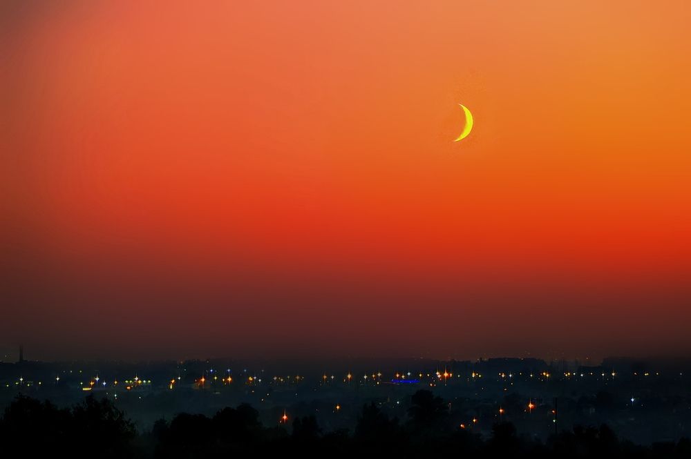 Туман и ночь.