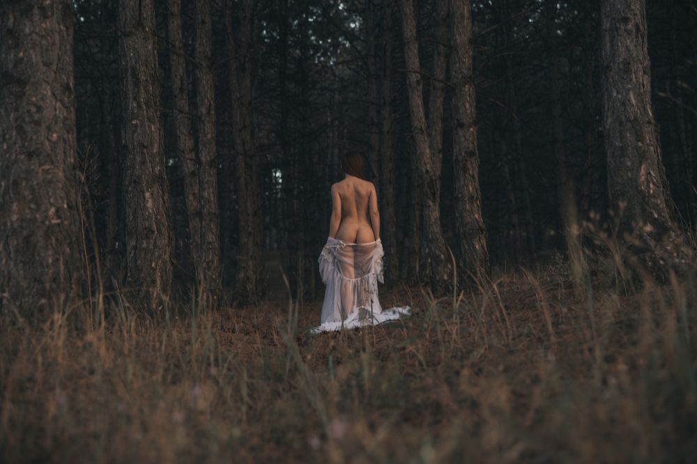 Фотография автора Dmitri Gorbunov