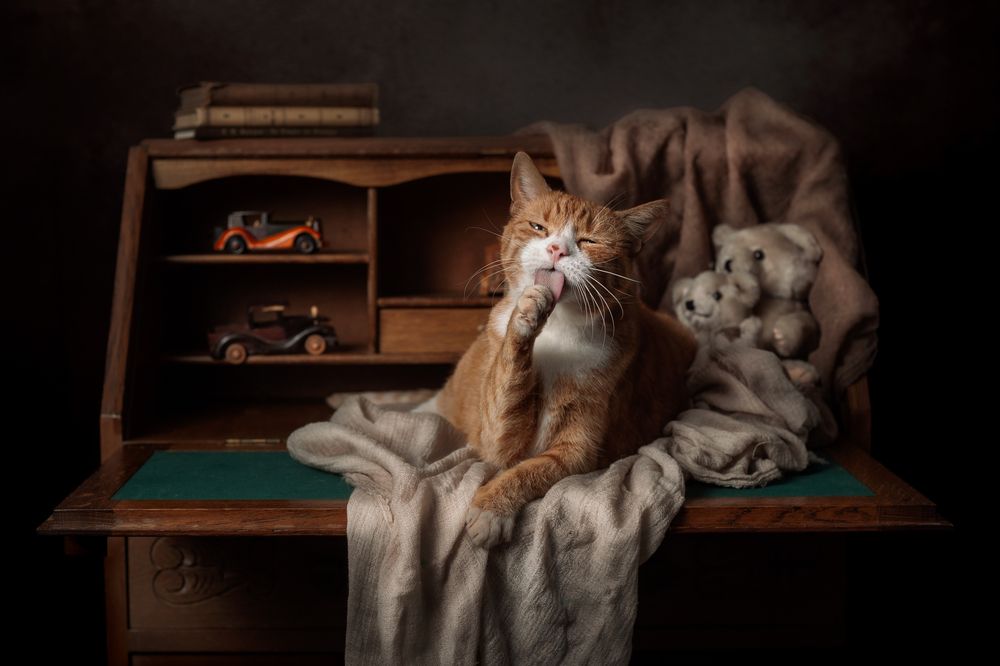 Photograph by Gertrude Goené