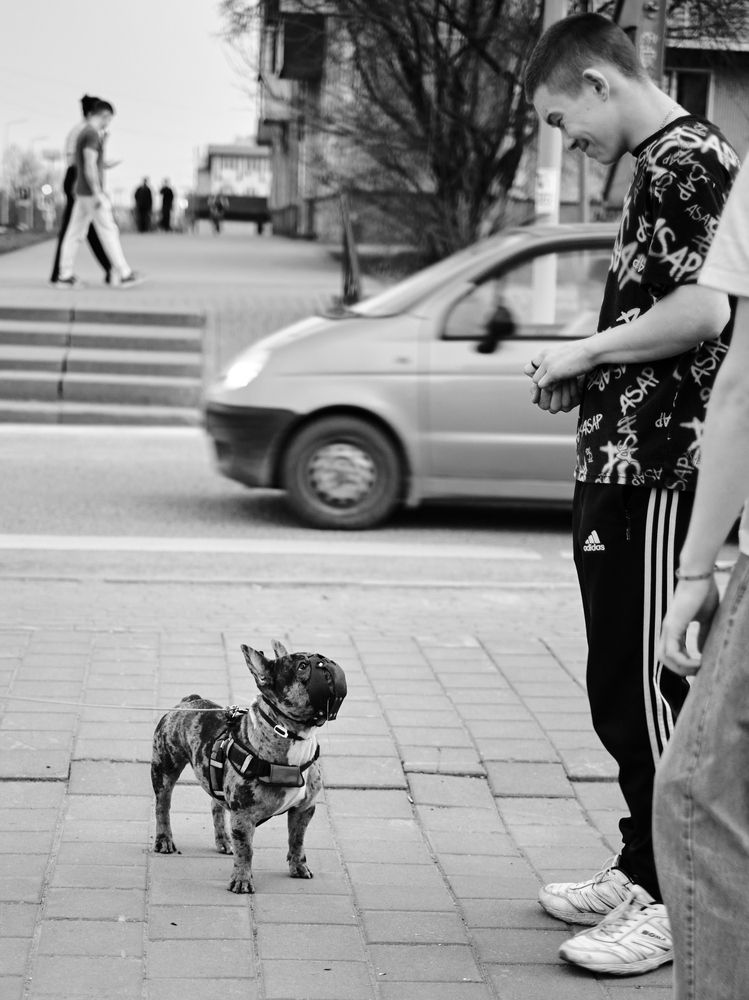 Photograph by Ласьков Евгений